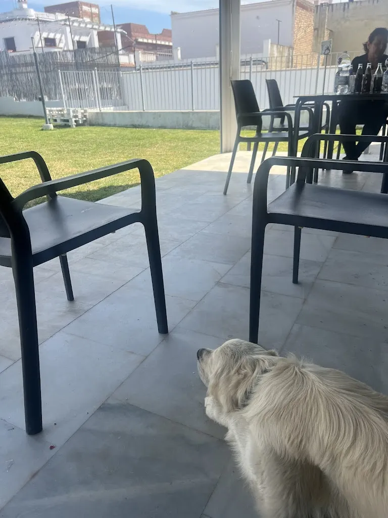 Grace Naylor_Restaurante Bar La Piscina_Puerto Serrano_review