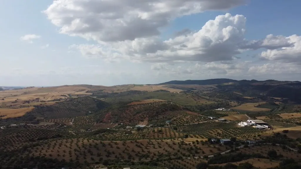 Estación de Puerto Serrano restaurant in Puerto Serrano