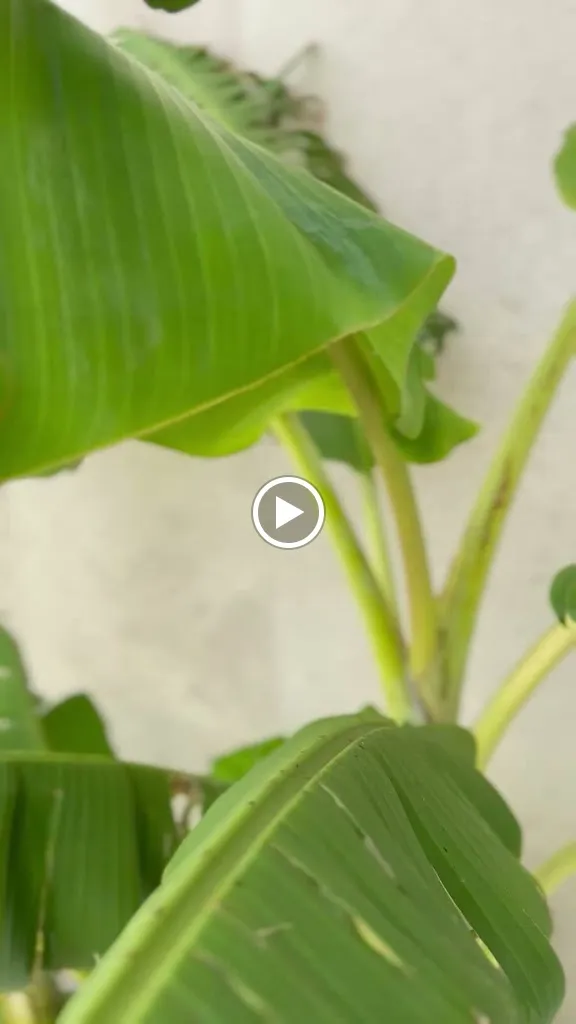 Parador Del Valle_San José del Valle_slider_image_2