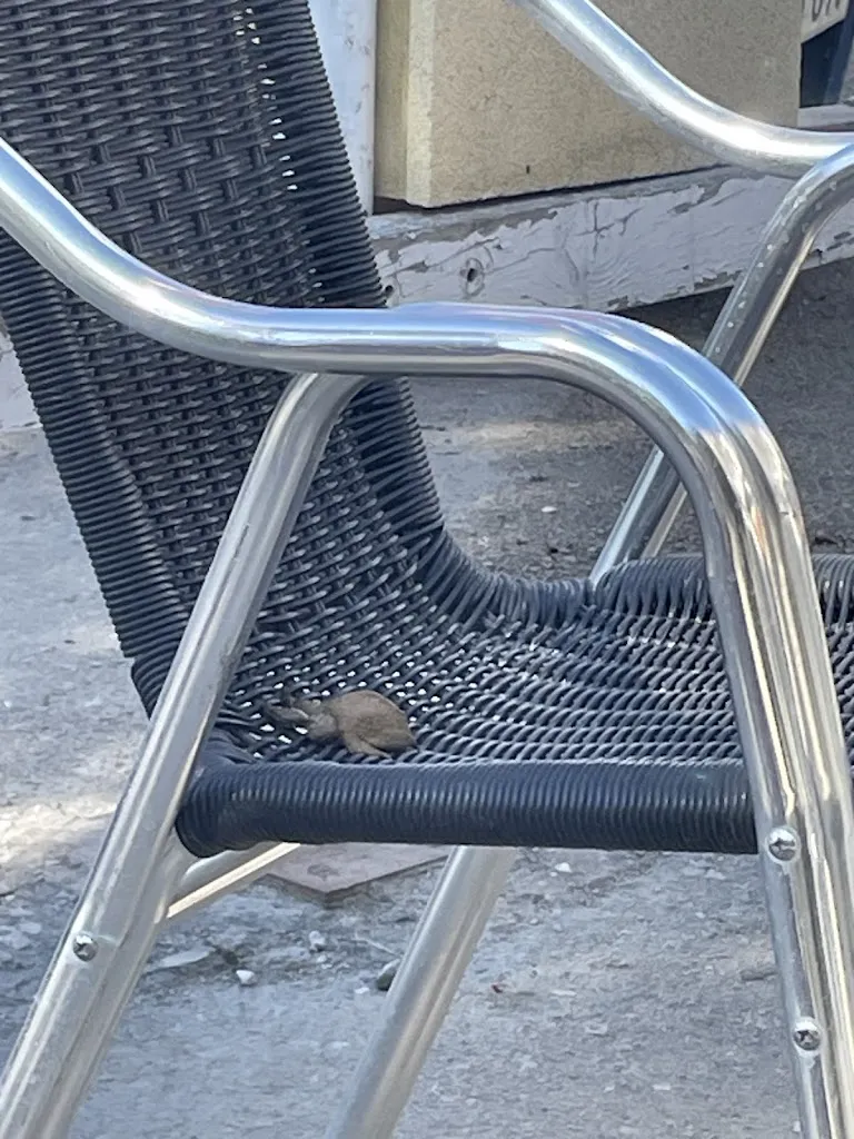 Tanya La Yerba_Venta la Arenosa_San José del Valle_review