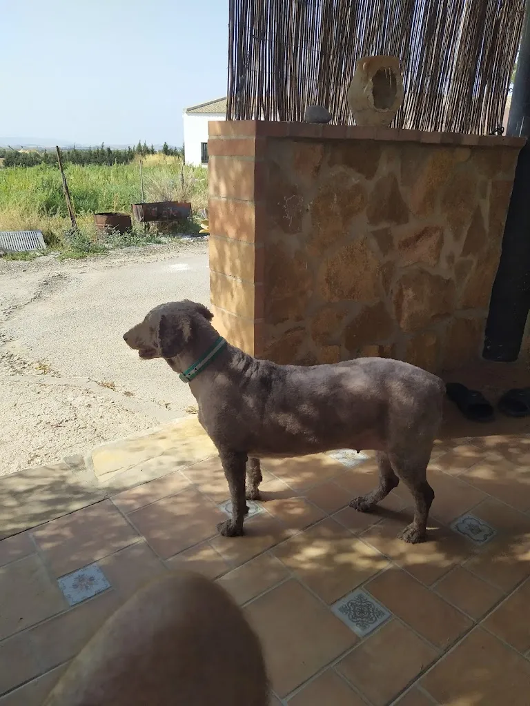 Hacienda San José Restaurant in San José del Valle