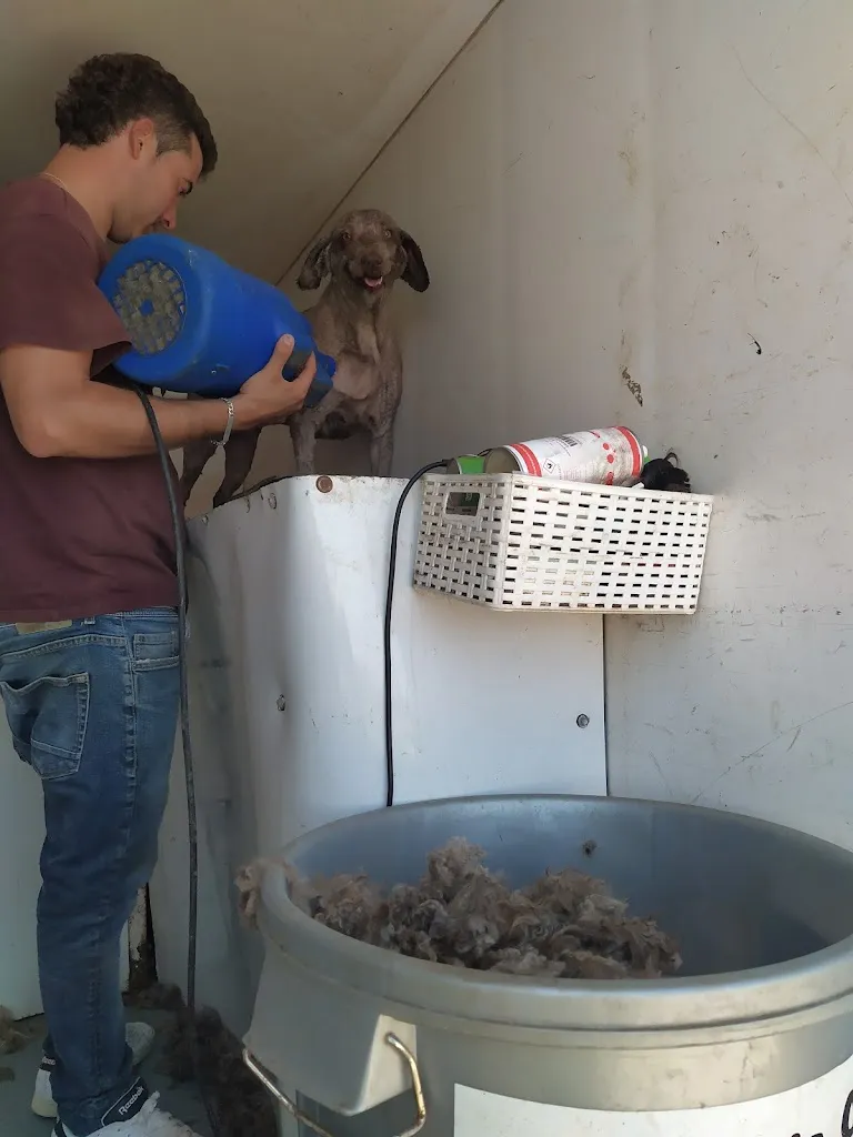 Hacienda San José_San José del Valle_slider_image_3