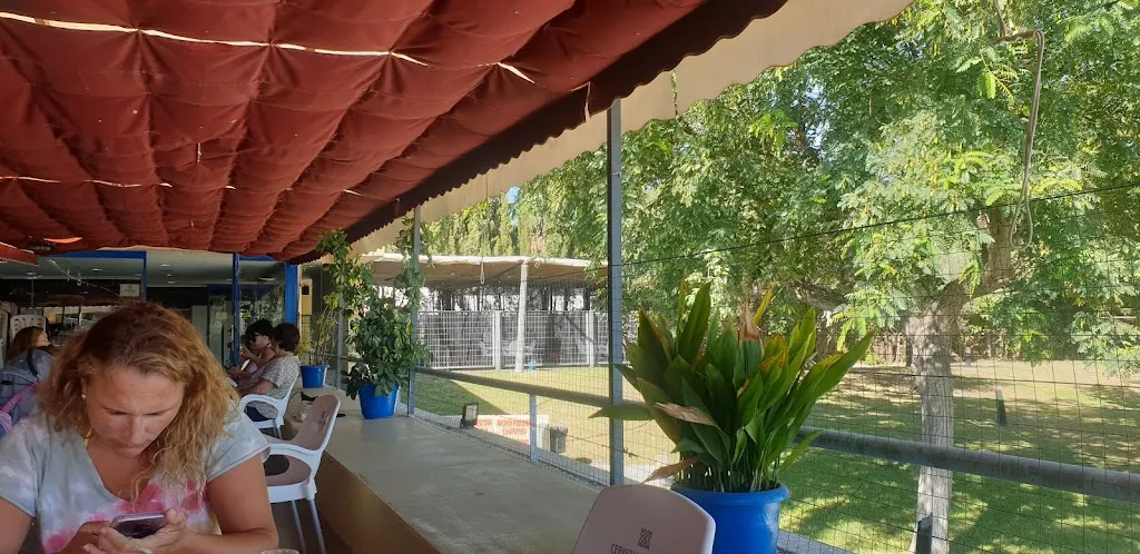 Bar Piscina Municipal_San José del Valle_slider_image_2