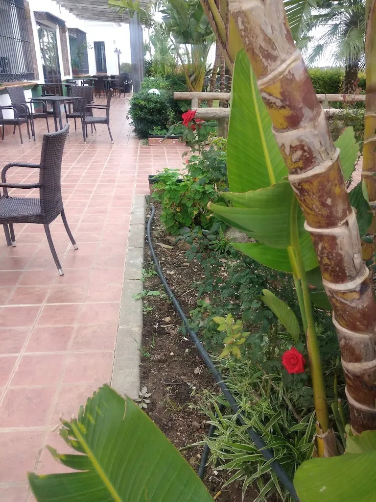 Mesón restaurante_San José del Valle_slider_image_1