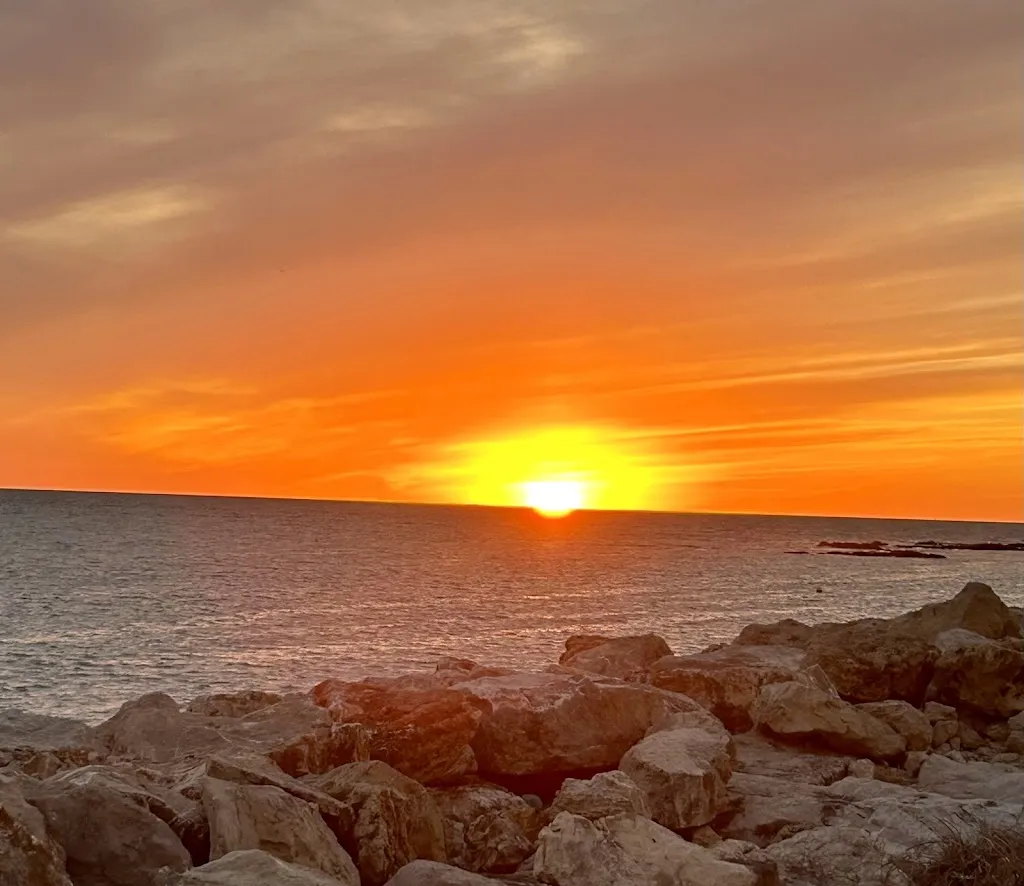 MJ_lwr_Restaurante Amarola_Puerto de Santa María El_review