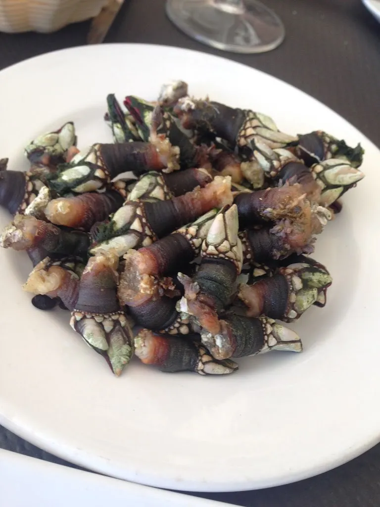 Kevin Laven_La Taberna del Sapo_Puerto de Santa María El_recensione