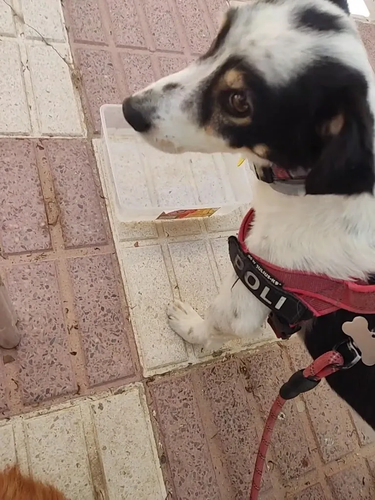 Shiko Bar_Puerto de Santa María El_slider_image_2