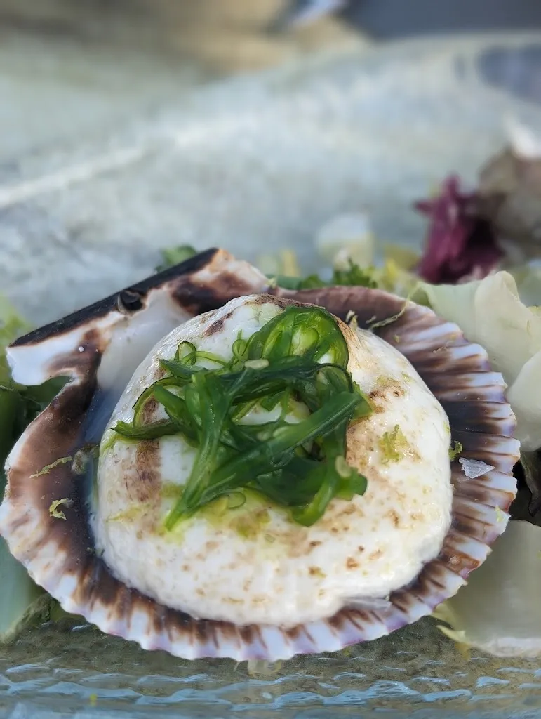 Nickie Petro_María Castaña_Puerto de Santa María El_review