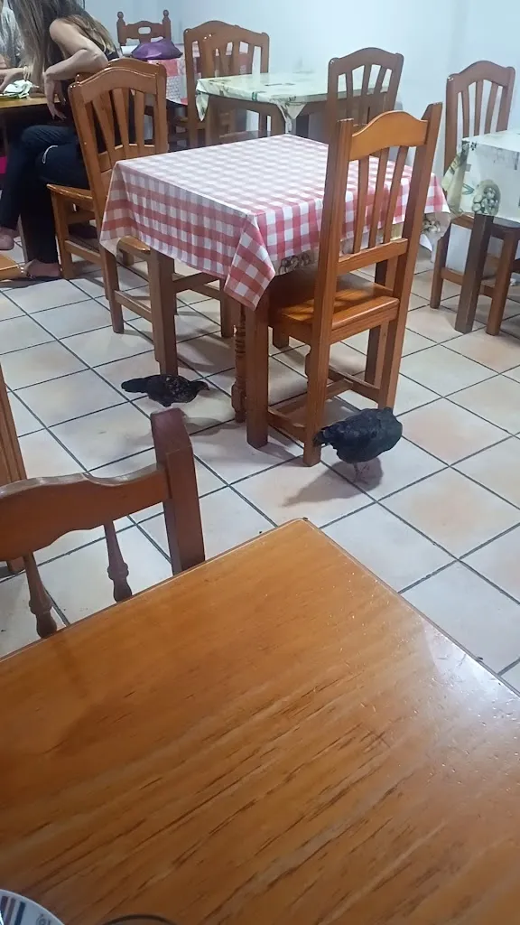 Vladie_Restaurante Casa Pepa_Puerto Real_review