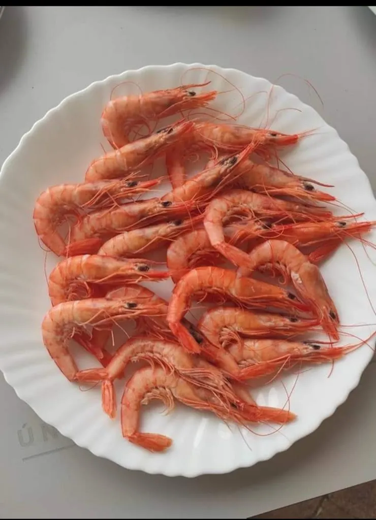 Menu_CASA RAFA - las maravillas_Puerto Real_image_7