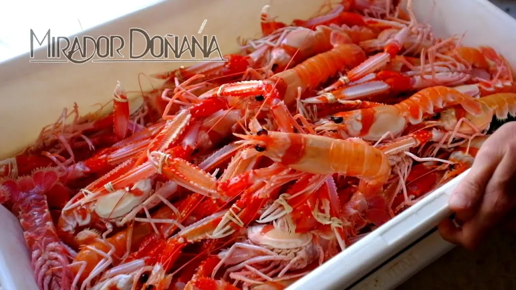 Mirador de Doñana_Sanlúcar de Barrameda_slider_image_2