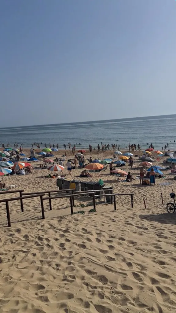 Carla Sofia Telo Velosa_Restaurante Rambla_Almansa_review