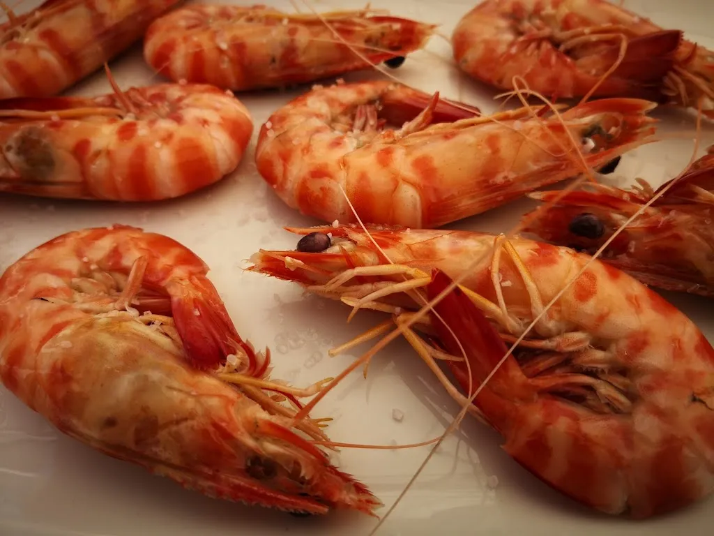 Menu_Taberna El Loli_Sanlúcar de Barrameda_image_9