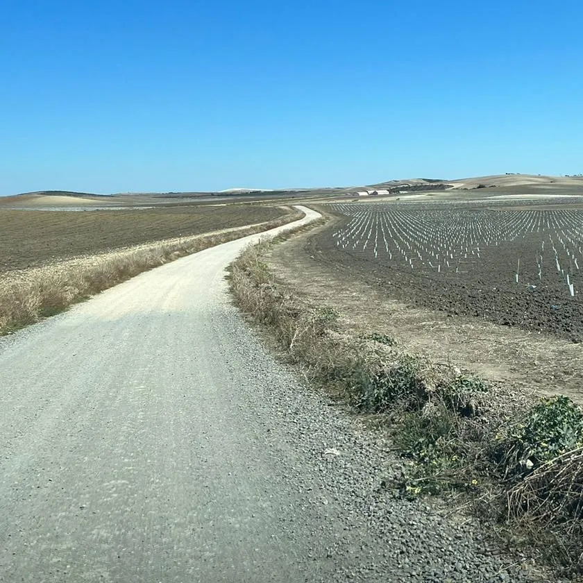 Juan GP_Campo de Tiro Trebujena_Trebujena_review