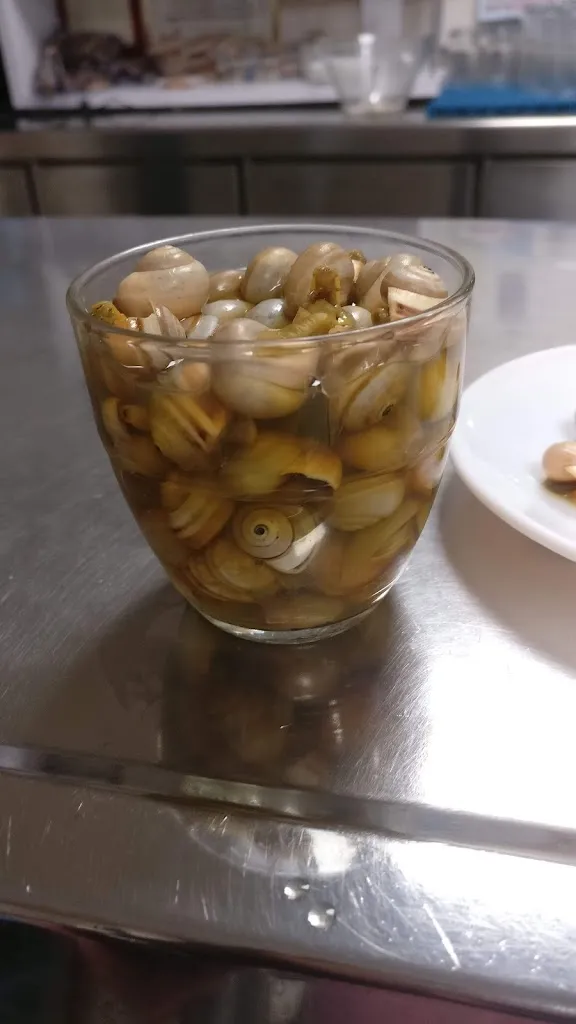 Bar Tomaso_Trebujena_slider_image_3