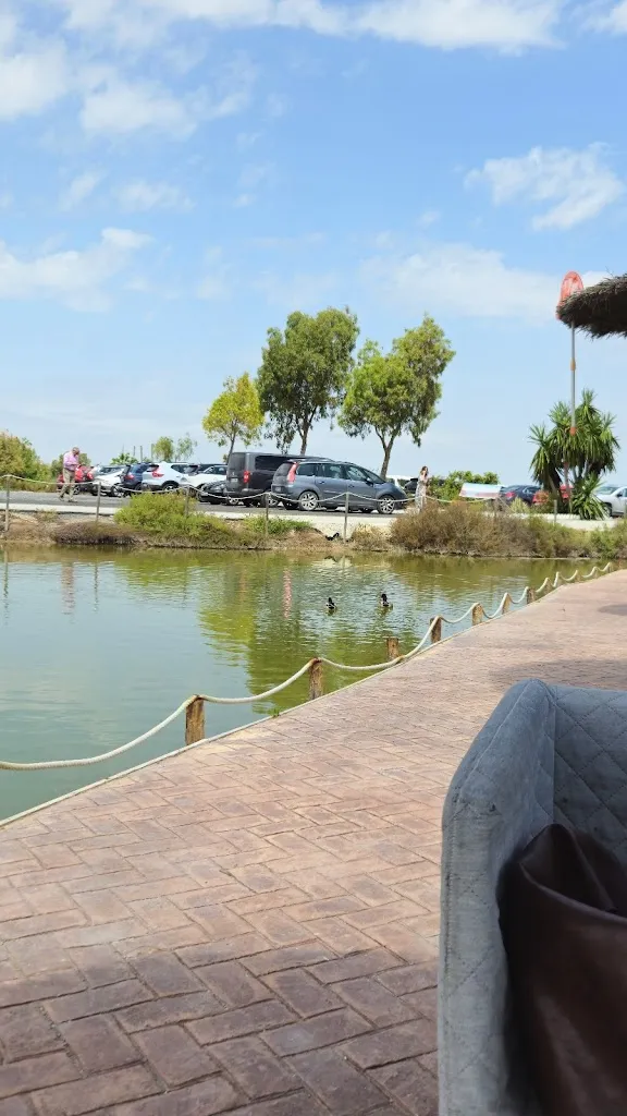 Lourdes Aguilar_Manegodor_Trebujena_review