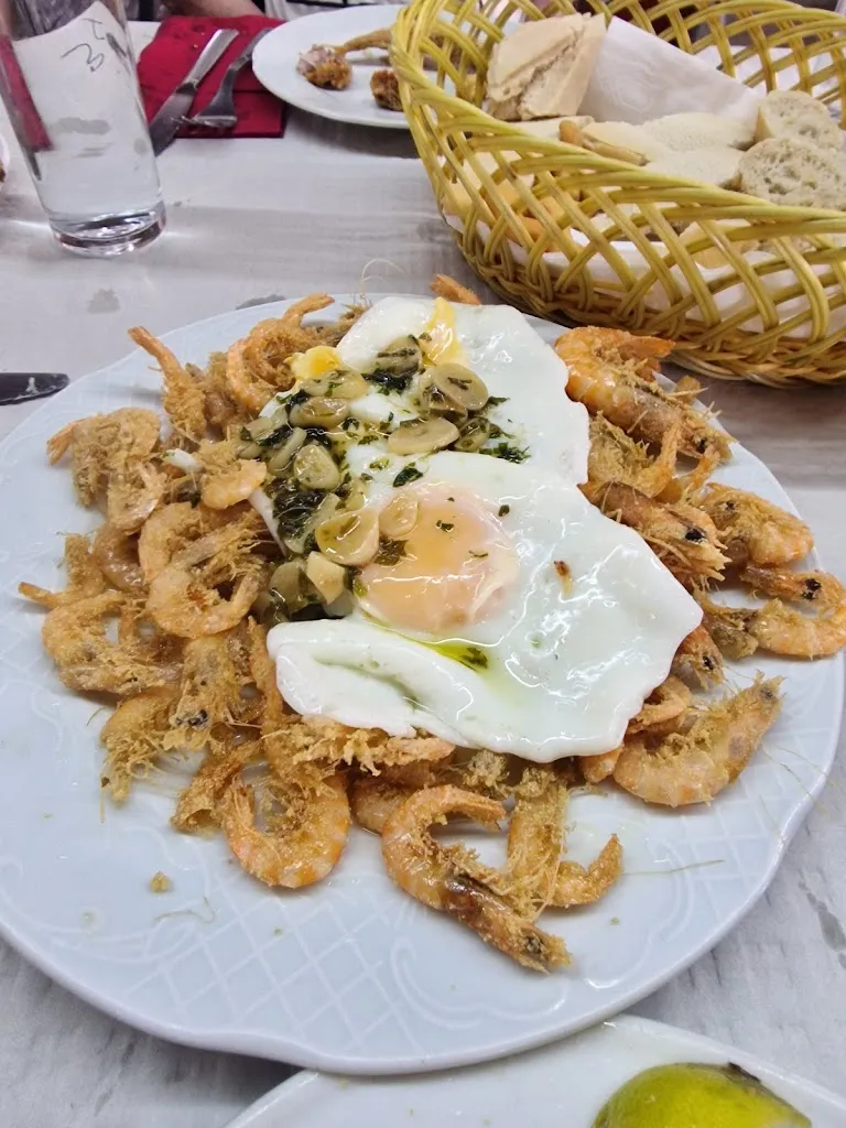 David Ripalda_Manegodor_Trebujena_review