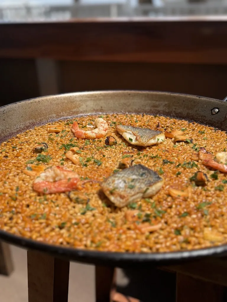 Alex Novak_BoccaBuena Puerto_Tarifa_review