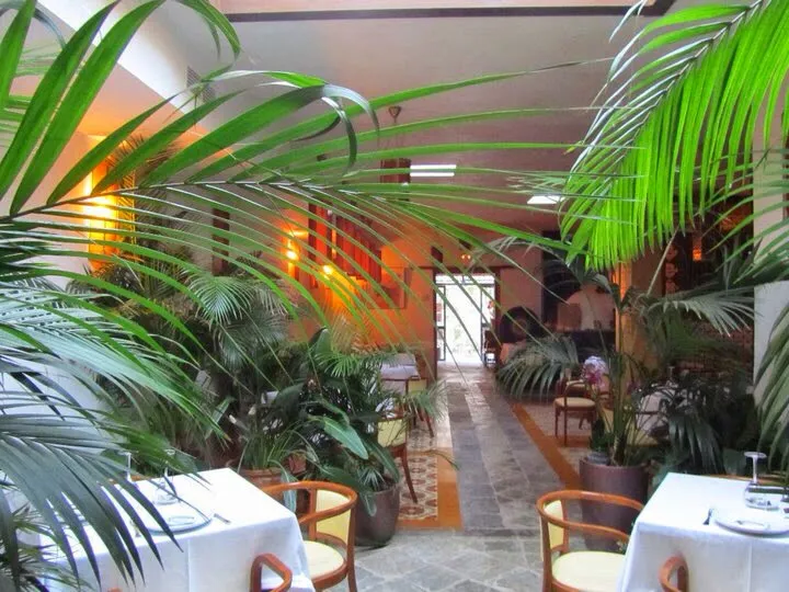 Mandragora_Tarifa_slider_image_1