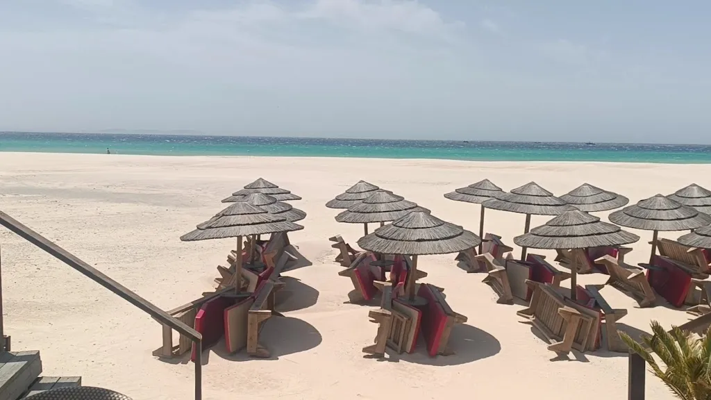 Restaurante Demente Tarifa_Tarifa_slider_image_2