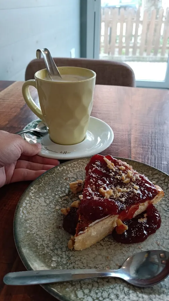 Northland Gypsy_Wanaka_Tarifa_review