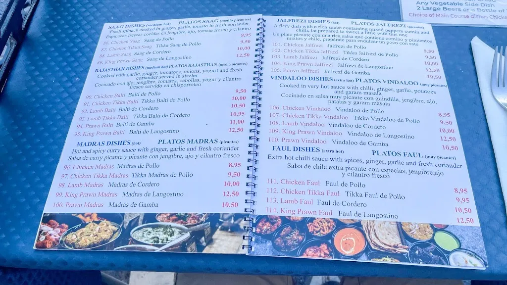 Menu_Rajasthan Indian restaurant in villamartin plaza_Villamartín_image_3