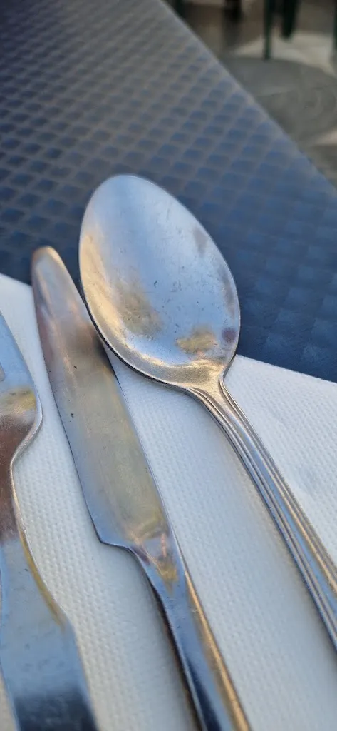 Dais L_Rajasthan Indian restaurant in villamartin plaza_Villamartín_review