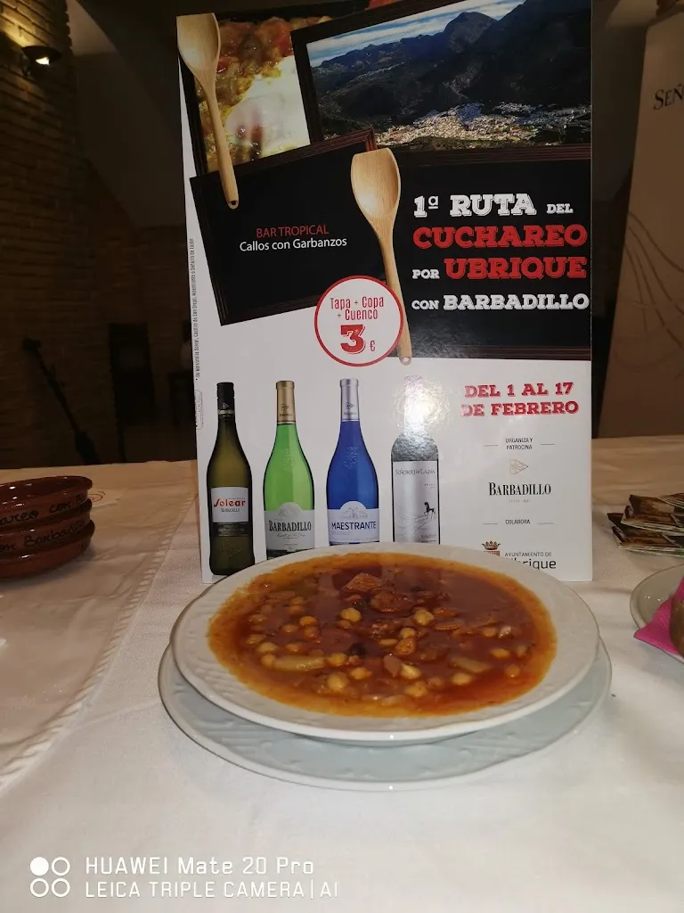 Menu_Restaurante Plaza Ubrique - Restaurante Para Grupos_Ubrique_image_3