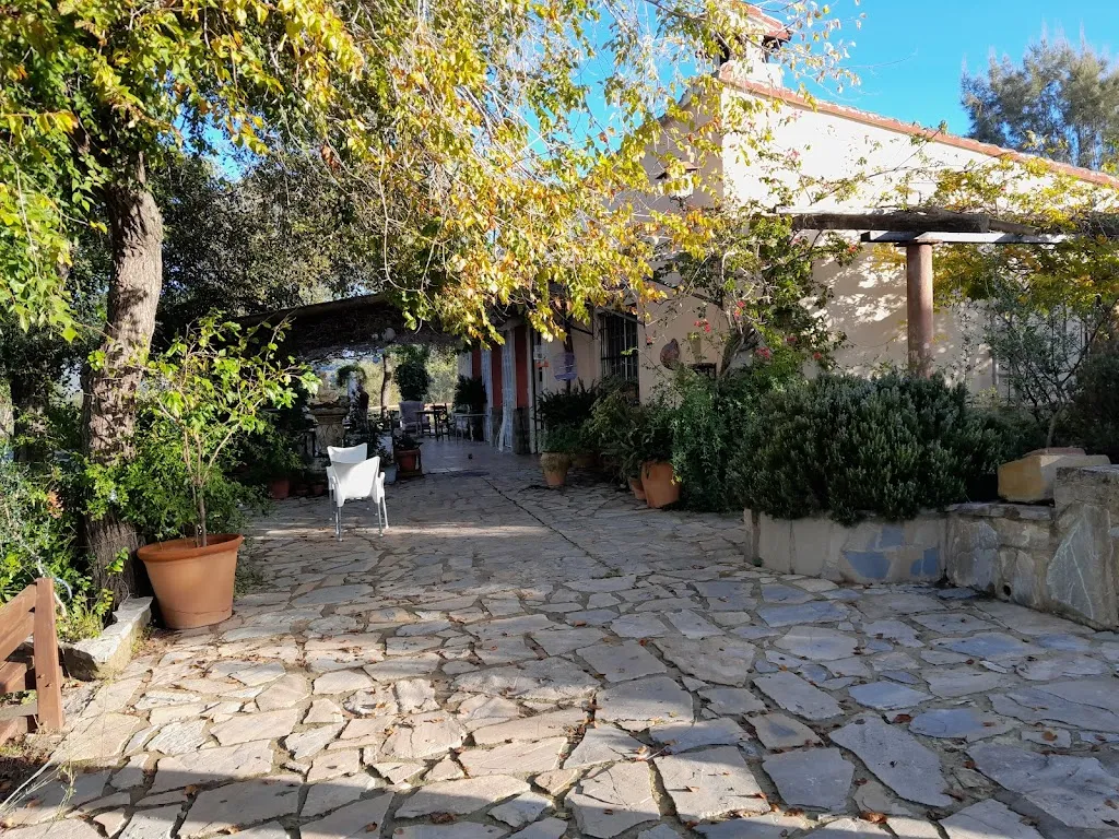 Dave Surge0n_Restaurante Plaza Ubrique - Restaurante Para Grupos_Ubrique_review