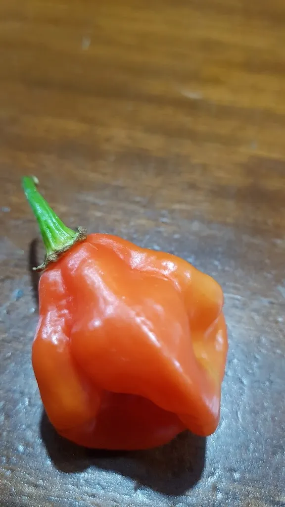 Menu_…_Ubrique_immagine_2