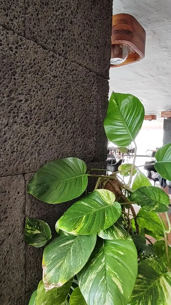 Restaurante Castillo de San José_Arrecife_slider_image_2