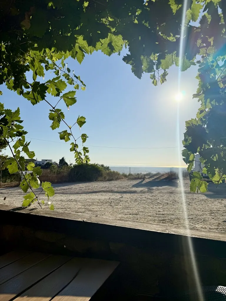 Andre Kamps_Restaurante Patría_Vejer de la Frontera_recensione