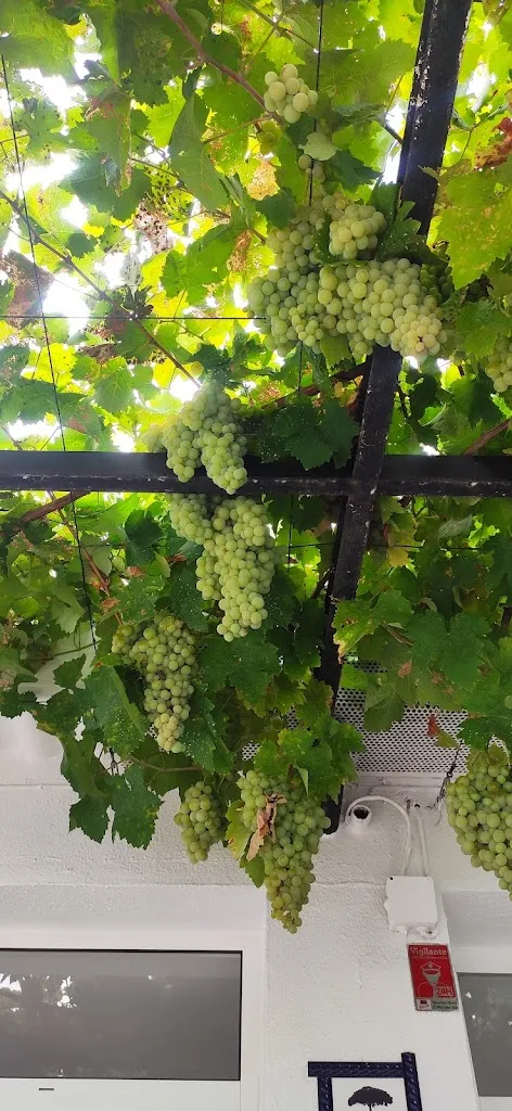 Ngozi A.T_Venta La Barca de Vejer_Vejer de la Frontera_recensione