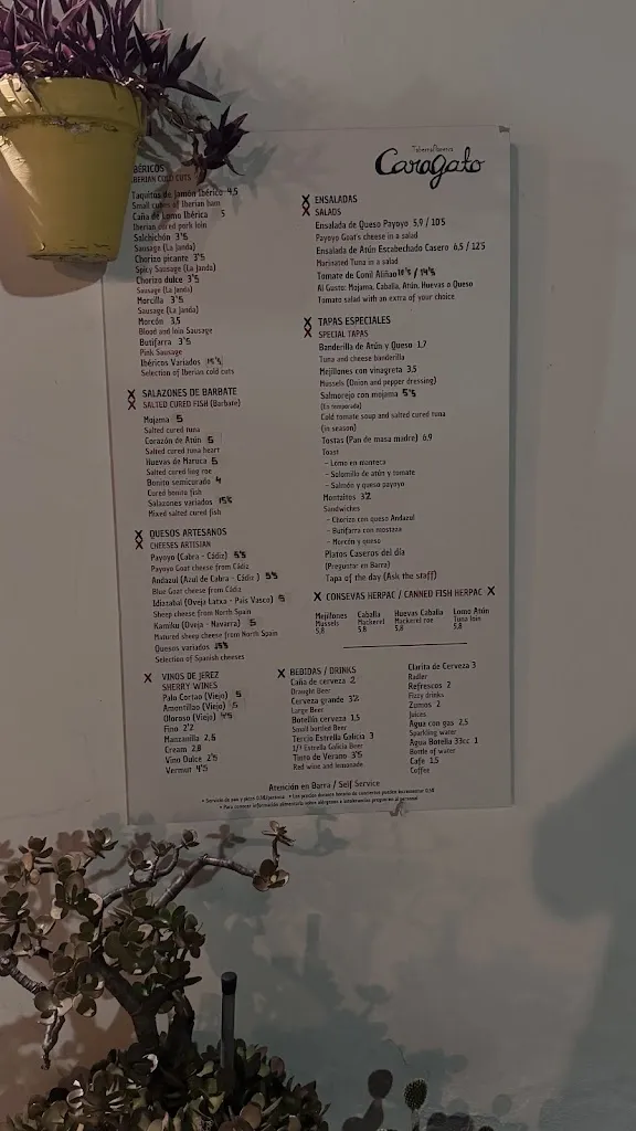 Menu_Taberna Flamenca Caragato_Vejer de la Frontera_immagine_4