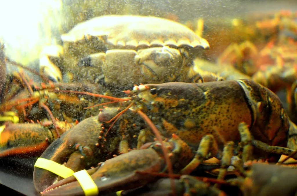 Restaurante Ribera del Río Miño_Las Palmas de Gran Canaria_slider_image_3