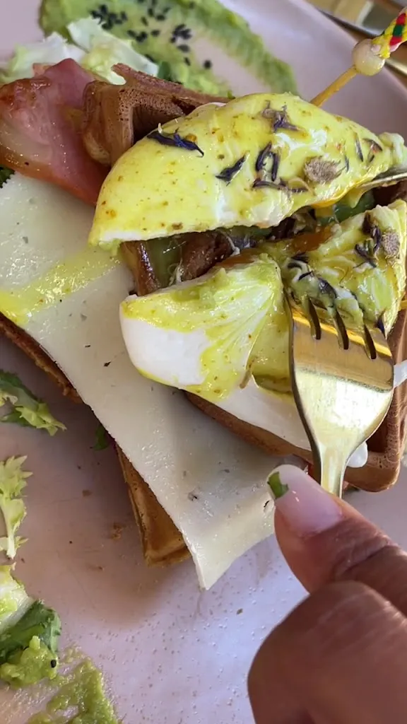 Organic Jungle_Las Palmas de Gran Canaria_slider_image_2