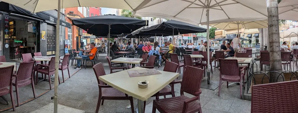 Organic Jungle_Las Palmas de Gran Canaria_slider_image_3