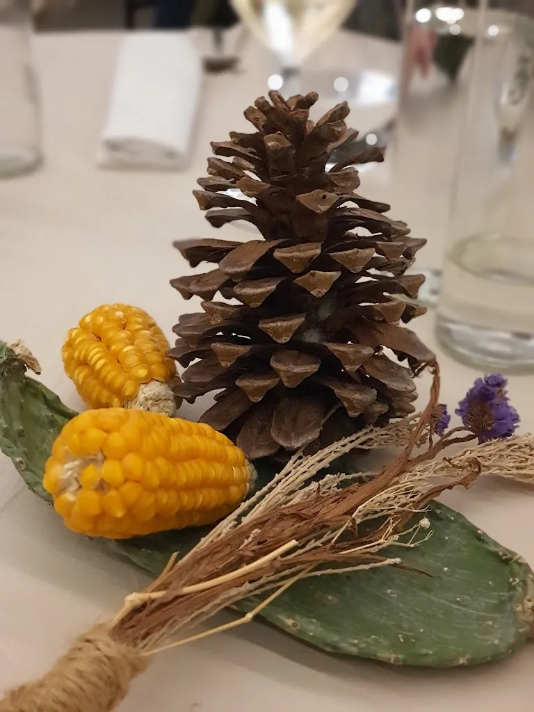 Bhikhu Vadera_MuXgo_Las Palmas de Gran Canaria_review