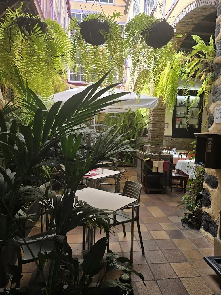 Don Barraquito_La Lonja_Santa Cruz de La Palma_review