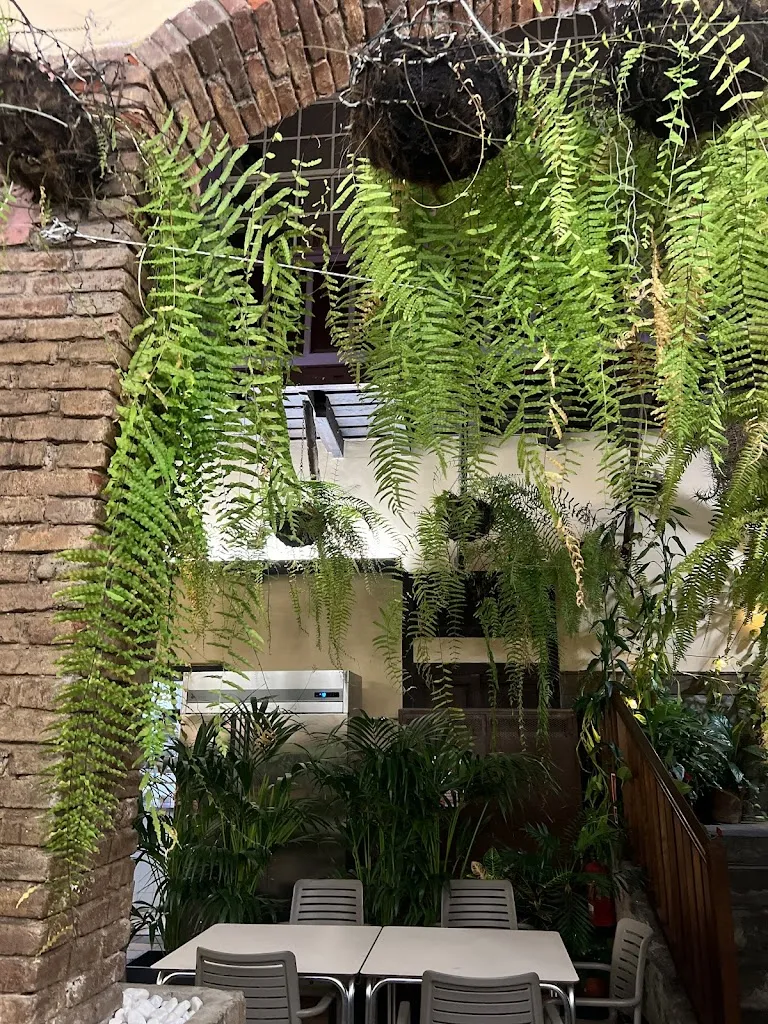 Rachel_La Lonja_Santa Cruz de La Palma_review