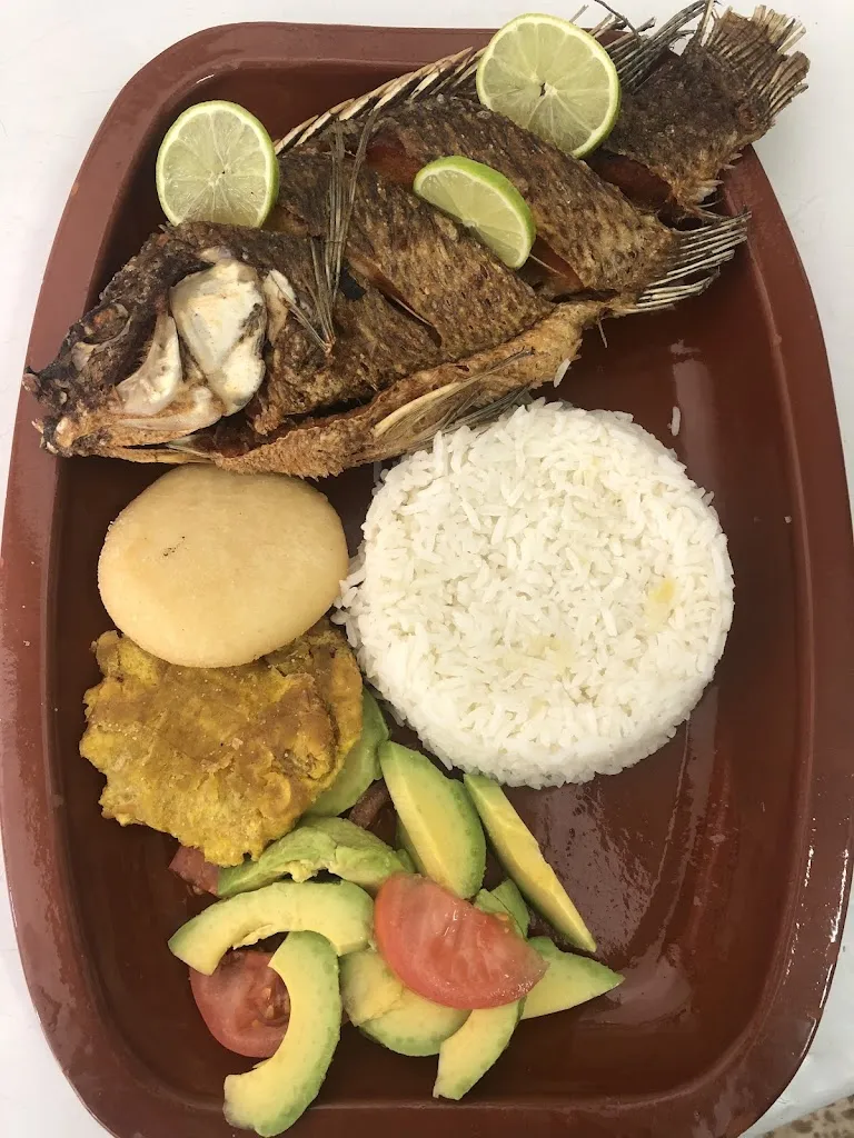 Ceda el Paso_Puerto del Rosario_slider_image_3