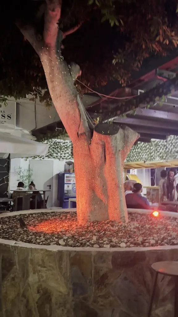 Lukasz A._Terraza Marssala_Puerto del Rosario_recensione