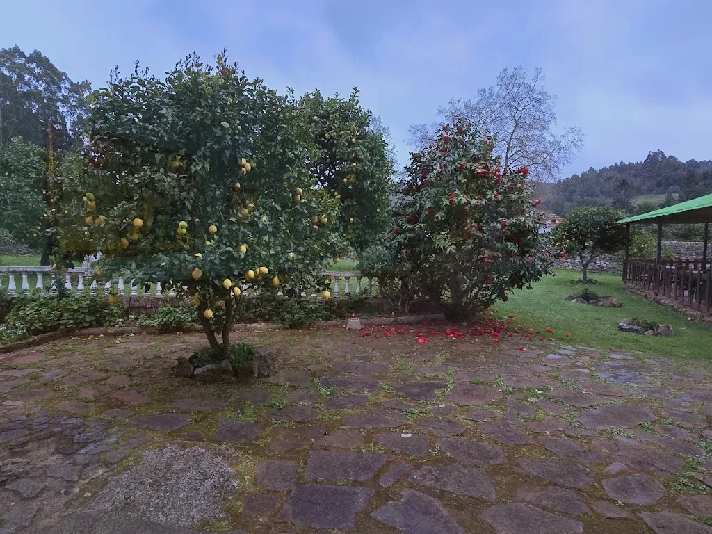 Ugur O._Restaurante y Alojamientos La Ceña_Alfoz de Lloredo_review