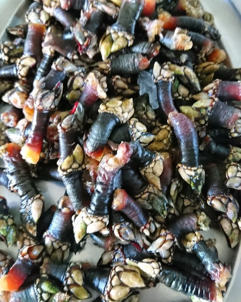 Menu_Restaurante A Cabana_Bergondo_image_8