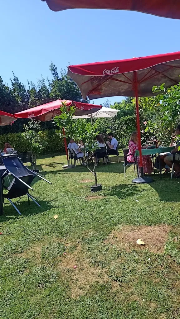 Reme Ruiz_Bar El Almacén_Alfoz de Lloredo_review