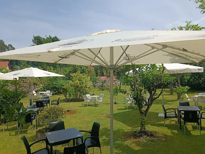 Bar El Almacén restaurant in Alfoz de Lloredo