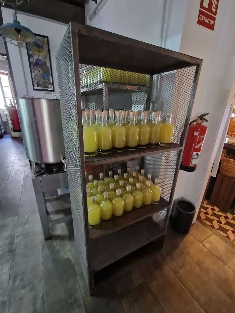 Oleander_La Salamandra_San Sebastián de La Gomera_review