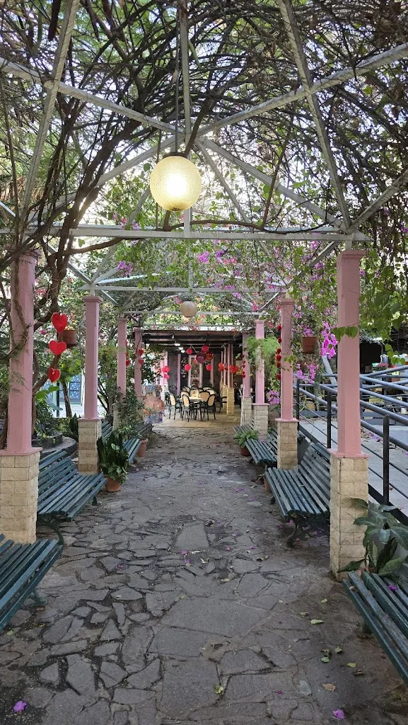 Asociación de la 3 edad_San Sebastián de La Gomera_slider_image_2