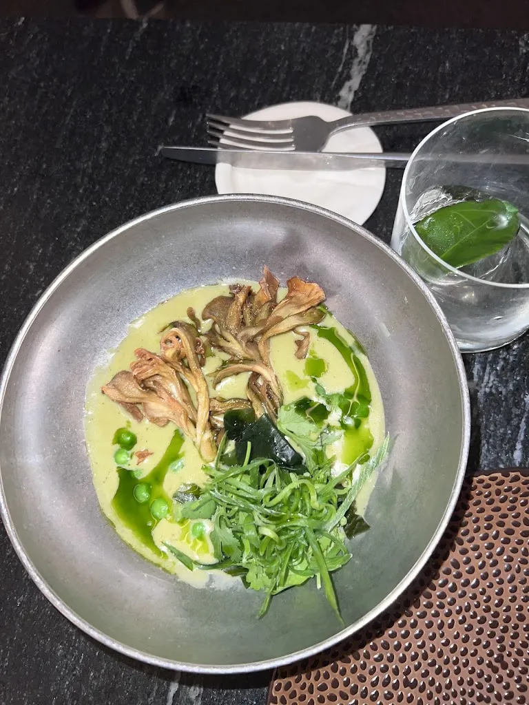 Nassima Err_Marciano_Camargo_review