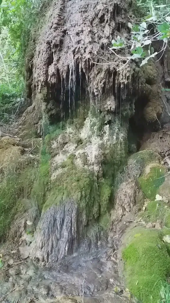 Mirador La Fuensanta_Fuensanta_slider_image_2